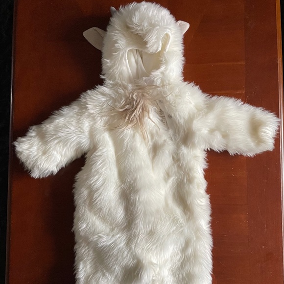 Pottery Barn Kids Woodland Baby Goat Costume - Picture 3 of 4